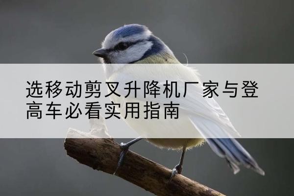 平潭电动升降机厂家-选移动剪叉升降机厂家与登高车必看实用指南