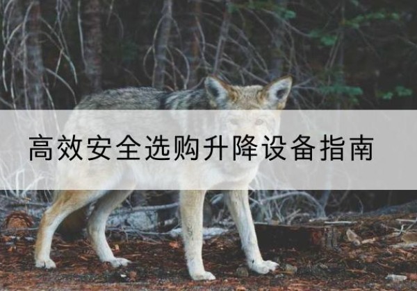 平潭升降货梯厂家推荐-*安全选购升降设备指南